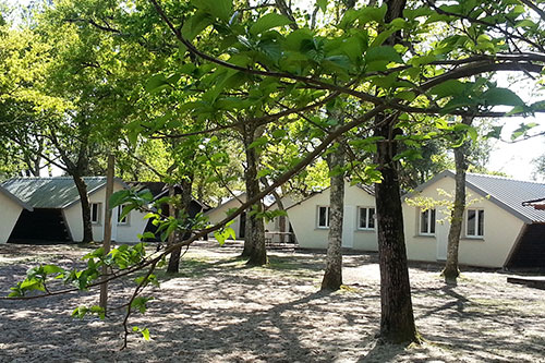 le hameau des écureuils dortoirs